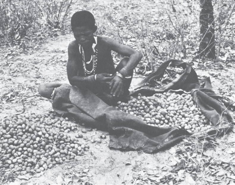 Иллюстрация к книге — Голодный мозг. Как перехитрить инстинкты, которые заставляют нас переедать [i_022.jpg]