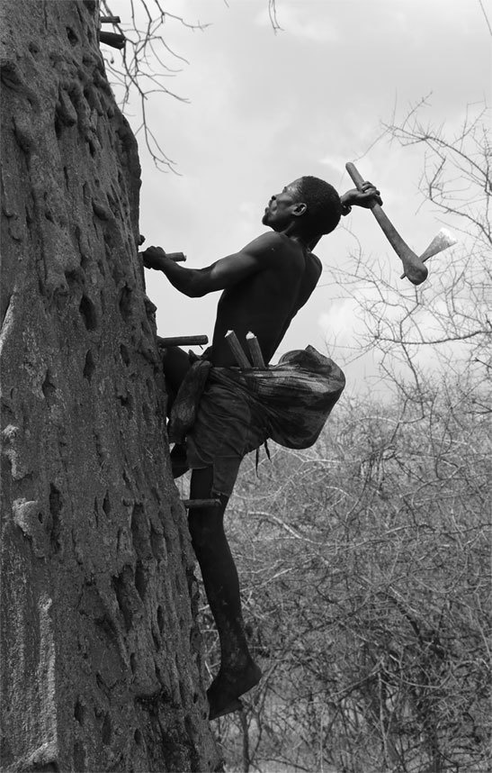 Иллюстрация к книге — Голодный мозг. Как перехитрить инстинкты, которые заставляют нас переедать [i_027.jpg]