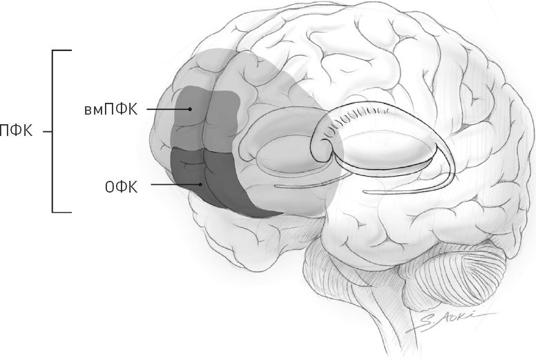 Иллюстрация к книге — Голодный мозг. Как перехитрить инстинкты, которые заставляют нас переедать [i_032.jpg]