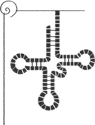 Иллюстрация к книге — Кривое зеркало жизни. Главные мифы о раке, и что современная наука думает о них [i_019.jpg]