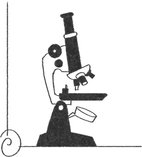 Иллюстрация к книге — Кривое зеркало жизни. Главные мифы о раке, и что современная наука думает о них [i_064.jpg]