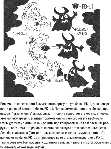 Иллюстрация к книге — Кривое зеркало жизни. Главные мифы о раке, и что современная наука думает о них [i_081.jpg]