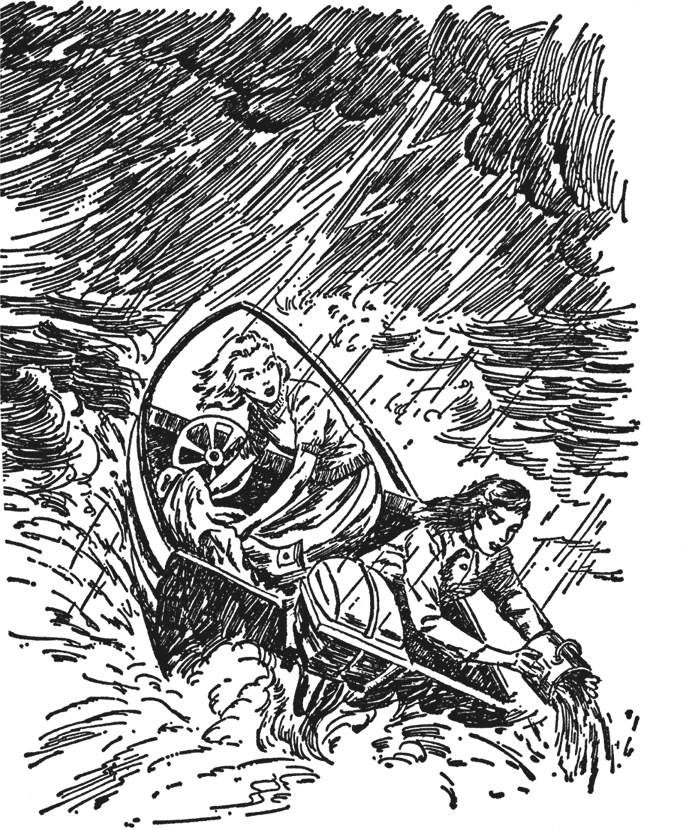 Иллюстрация к книге — Нэнси Дрю и тайна лесного домика [i_002.jpg]