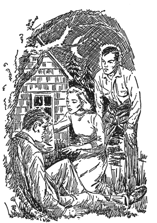 Иллюстрация к книге — Нэнси Дрю и тайна лесного домика [i_006.jpg]