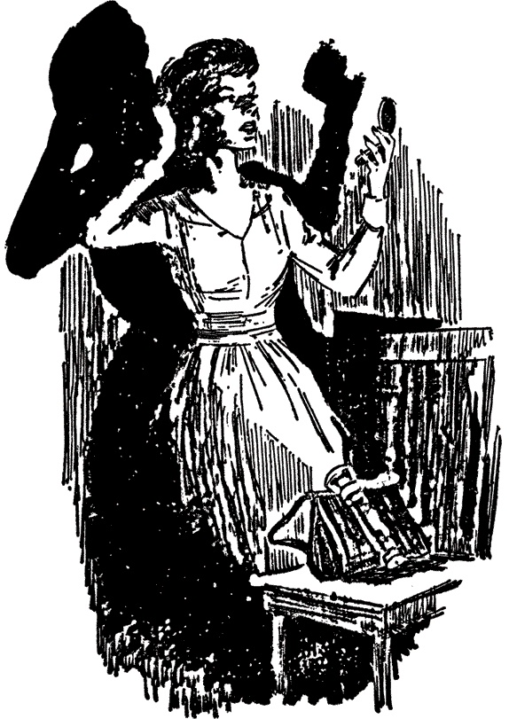 Иллюстрация к книге — Нэнси Дрю и тайна «Сиреневой гостиницы» [i_005.jpg]