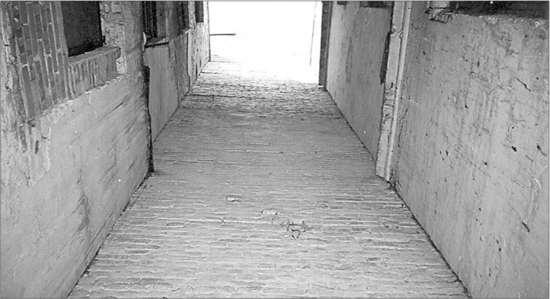 Иллюстрация к книге — Петербургские доходные дома. Очерки из истории быта [i_053.jpg]