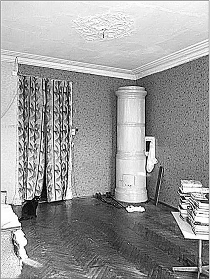 Иллюстрация к книге — Петербургские доходные дома. Очерки из истории быта [i_170.jpg]