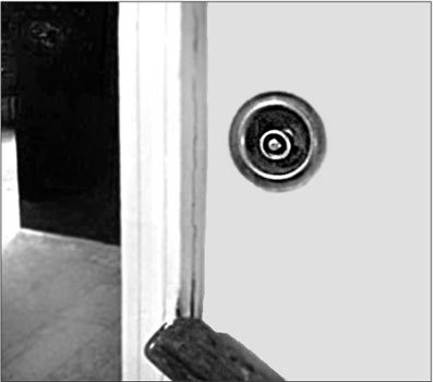 Иллюстрация к книге — Петербургские доходные дома. Очерки из истории быта [i_191.jpg]