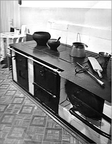 Иллюстрация к книге — Петербургские доходные дома. Очерки из истории быта [i_207.jpg]