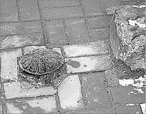 Иллюстрация к книге — Петербургские доходные дома. Очерки из истории быта [i_228.jpg]