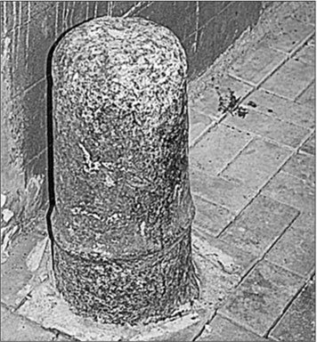 Иллюстрация к книге — Петербургские доходные дома. Очерки из истории быта [i_229.jpg]