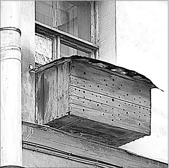 Иллюстрация к книге — Петербургские доходные дома. Очерки из истории быта [i_233.jpg]