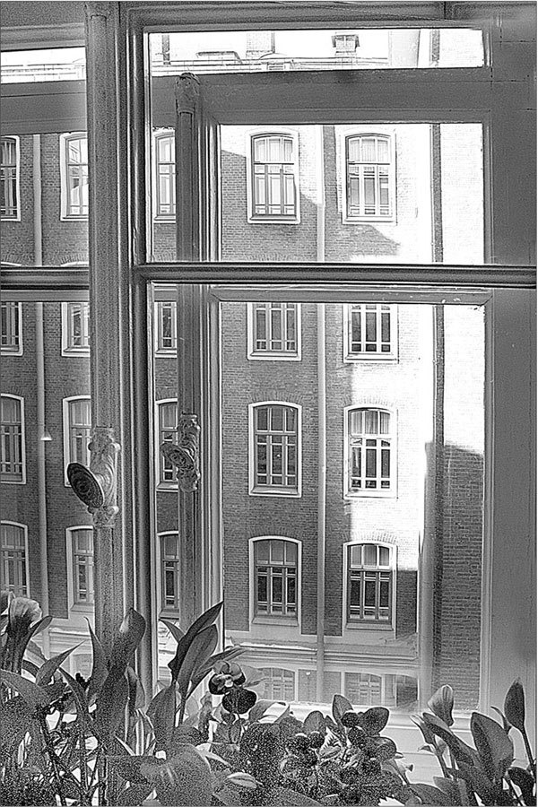 Иллюстрация к книге — Петербургские доходные дома. Очерки из истории быта [i_250.jpg]