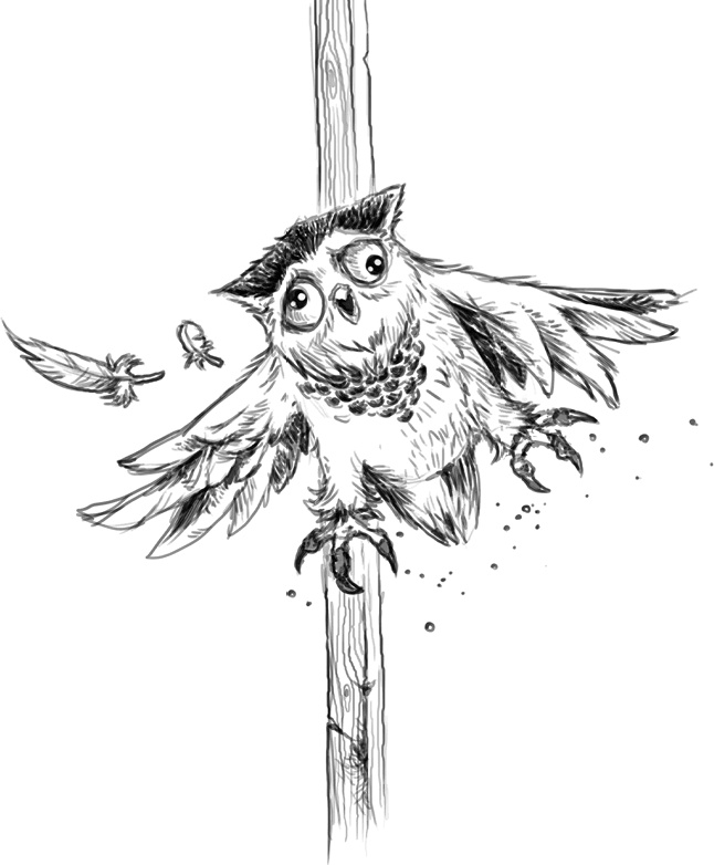 Иллюстрация к книге — Тайна золотого города [i_011.jpg]