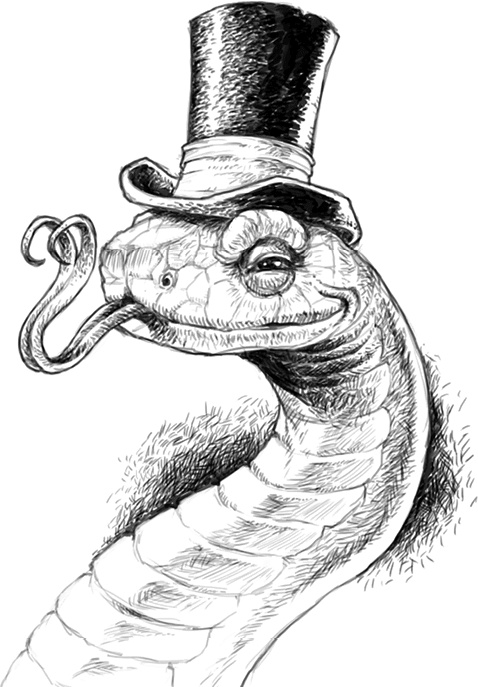 Иллюстрация к книге — Тайна золотого города [i_015.jpg]