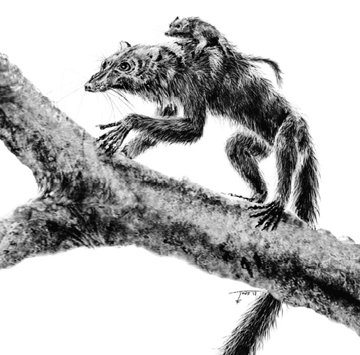 Иллюстрация к книге — Время динозавров. Новая история древних ящеров [_68kopija.jpg]