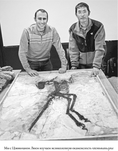 Иллюстрация к книге — Время динозавров. Новая история древних ящеров [i_008.jpg]