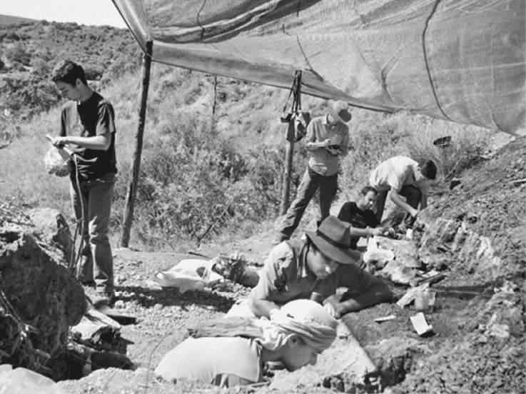 Иллюстрация к книге — Время динозавров. Новая история древних ящеров [i_015.jpg]