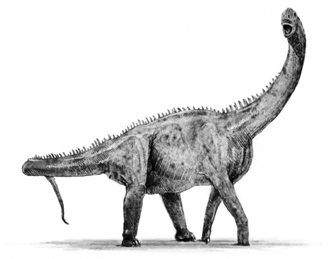 Иллюстрация к книге — Время динозавров. Новая история древних ящеров [i_018.jpg]