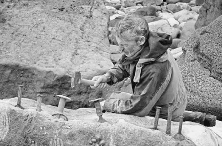 Иллюстрация к книге — Время динозавров. Новая история древних ящеров [i_021.jpg]