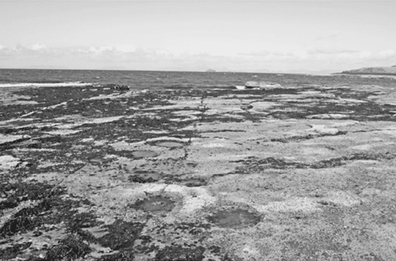 Иллюстрация к книге — Время динозавров. Новая история древних ящеров [i_022.jpg]