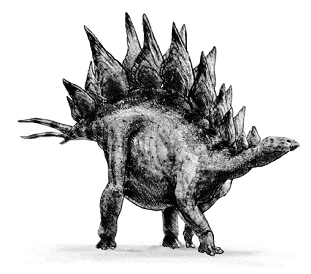 Иллюстрация к книге — Время динозавров. Новая история древних ящеров [i_025.jpg]