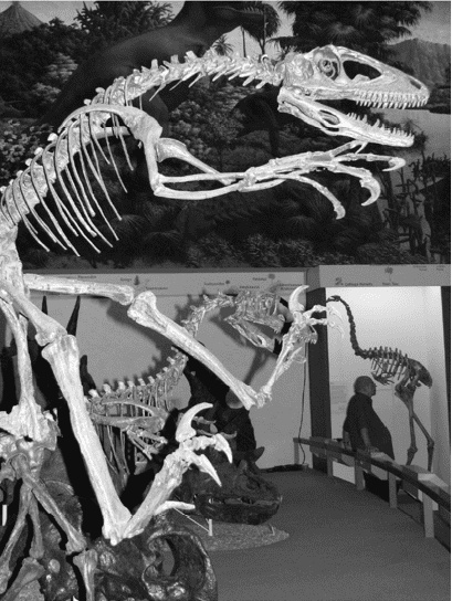 Иллюстрация к книге — Время динозавров. Новая история древних ящеров [i_026.jpg]