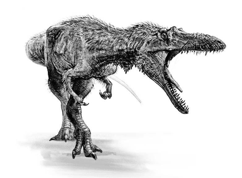 Иллюстрация к книге — Время динозавров. Новая история древних ящеров [i_035.jpg]