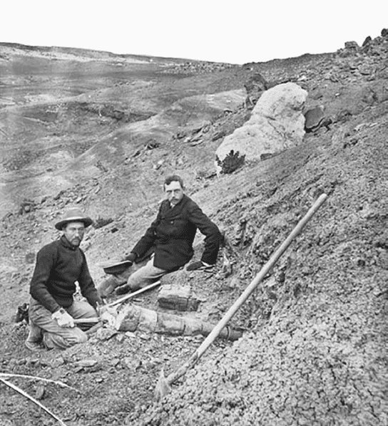 Иллюстрация к книге — Время динозавров. Новая история древних ящеров [i_037.jpg]