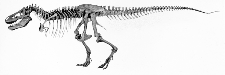 Иллюстрация к книге — Время динозавров. Новая история древних ящеров [i_042.jpg]