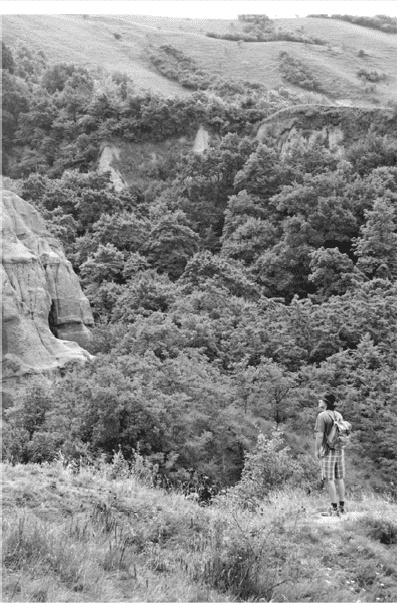 Иллюстрация к книге — Время динозавров. Новая история древних ящеров [i_054.jpg]