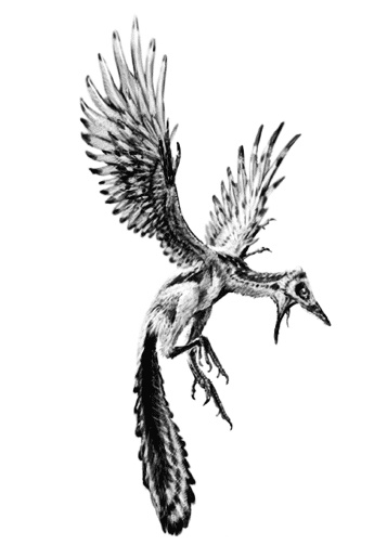 Иллюстрация к книге — Время динозавров. Новая история древних ящеров [i_056.jpg]