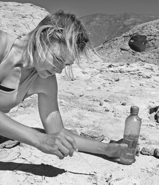 Иллюстрация к книге — Время динозавров. Новая история древних ящеров [i_062.jpg]