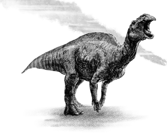 Иллюстрация к книге — Время динозавров. Новая история древних ящеров [i_064.jpg]