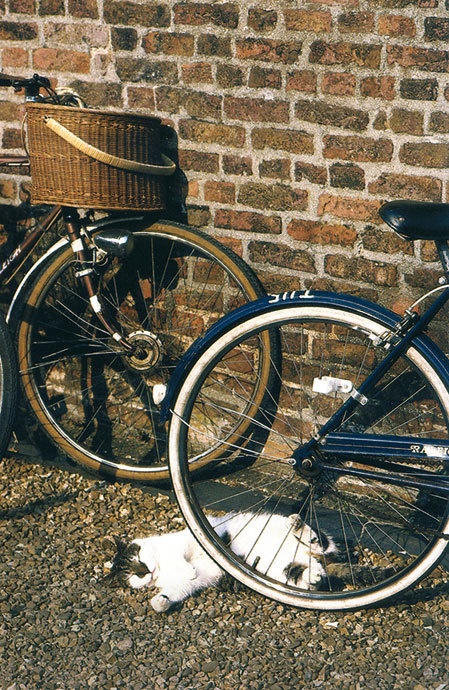 Иллюстрация к книге — Оксфорд и Кембридж. Непреходящая история  [i_008.jpg]