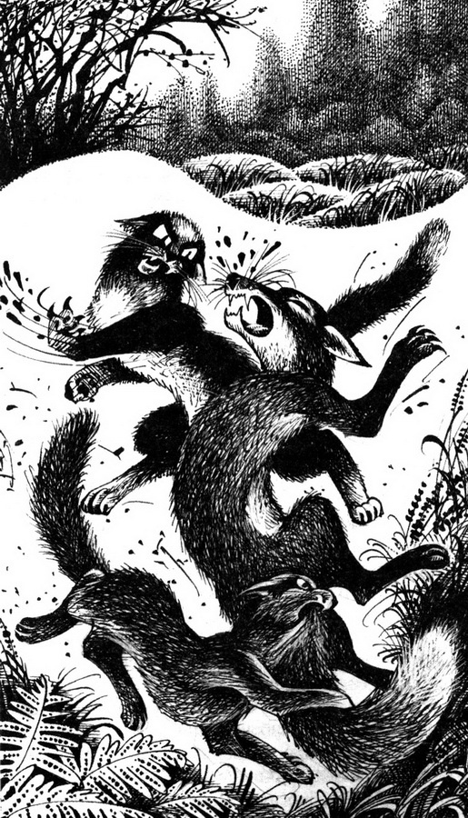 Иллюстрация к книге — Месть Звёздного Луча. Воссоединение [pic_4.jpg]