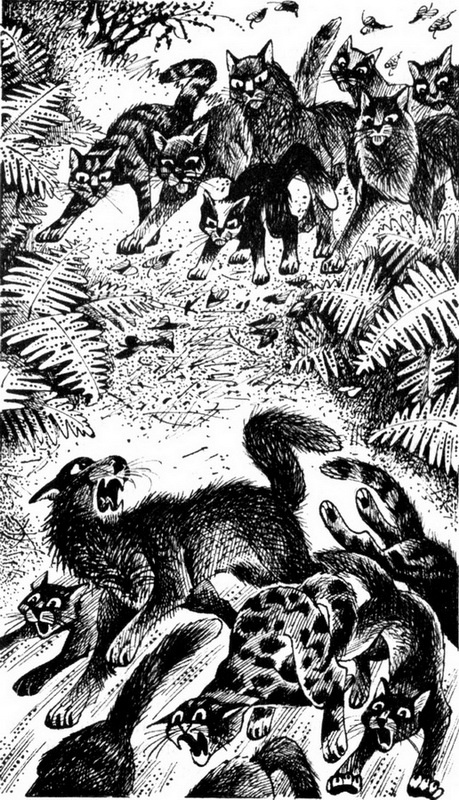 Иллюстрация к книге — Месть Звёздного Луча. Разлом [pic_5.jpg]