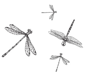 Иллюстрация к книге — Маленький Йоханнес [_01.jpg]