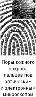 Иллюстрация к книге — Наука раскрытия преступлений [i_016.jpg]