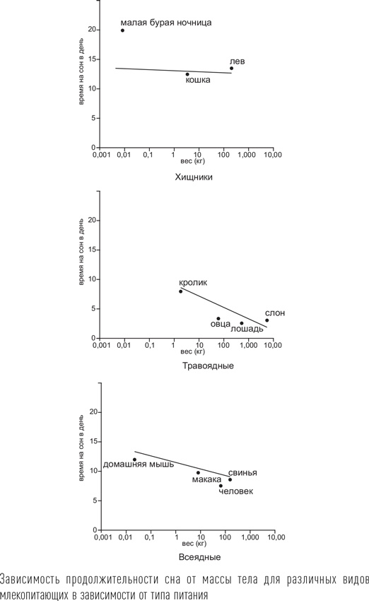 Иллюстрация к книге — Загадки сна [i_012.jpg]
