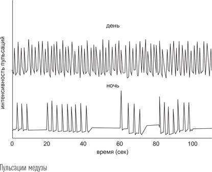 Иллюстрация к книге — Загадки сна [i_019.jpg]