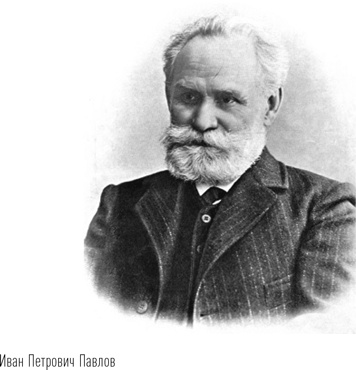 Иллюстрация к книге — Загадки сна [i_053.jpg]