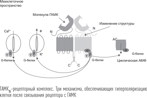 Иллюстрация к книге — Загадки сна [i_063.jpg]