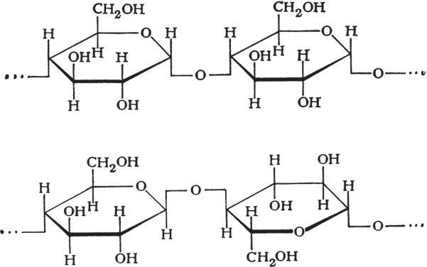 Иллюстрация к книге — Кожа: мифы и правда о самом большом органе [i_022.jpg]