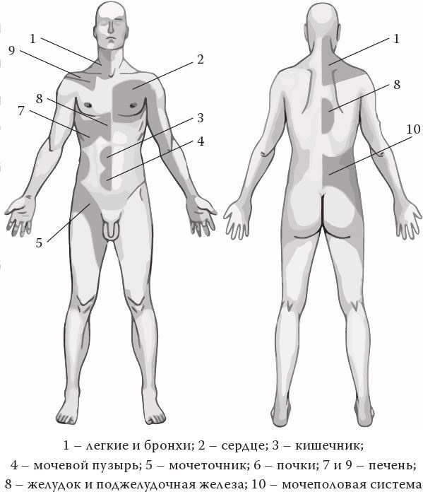 Иллюстрация к книге — Кожа: мифы и правда о самом большом органе [i_024.jpg]