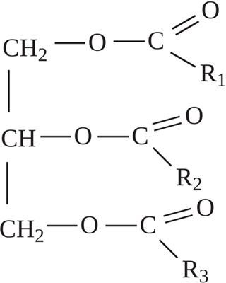 Иллюстрация к книге — Кожа: мифы и правда о самом большом органе [i_032.jpg]