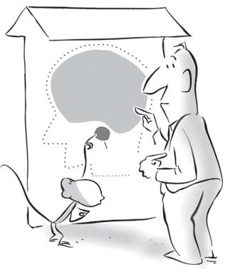 Иллюстрация к книге — Не кормите обезьяну! [i_007.jpg]