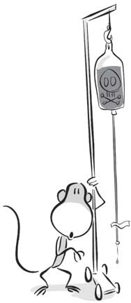 Иллюстрация к книге — Не кормите обезьяну! [i_076.jpg]