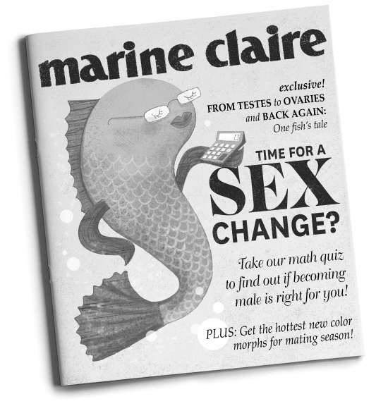 Иллюстрация к книге — Секс в океане или Тайна зарождения жизни [i_004.jpg]