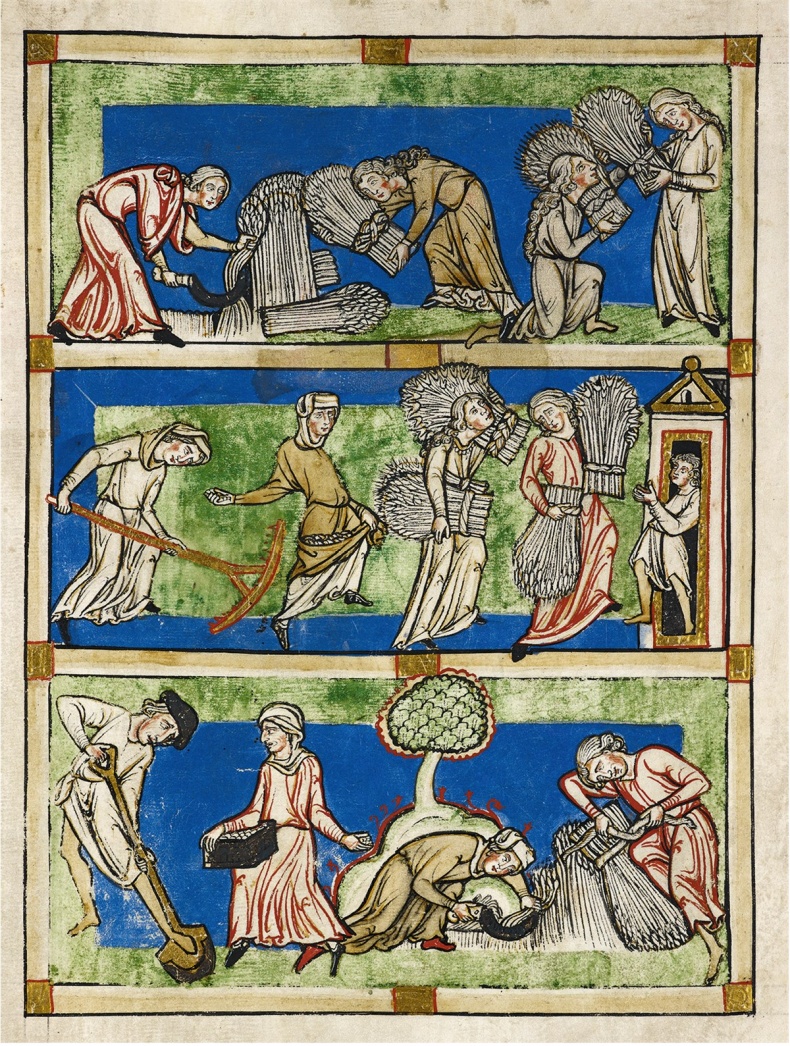 Иллюстрация к книге — История жены [i_005.jpg]